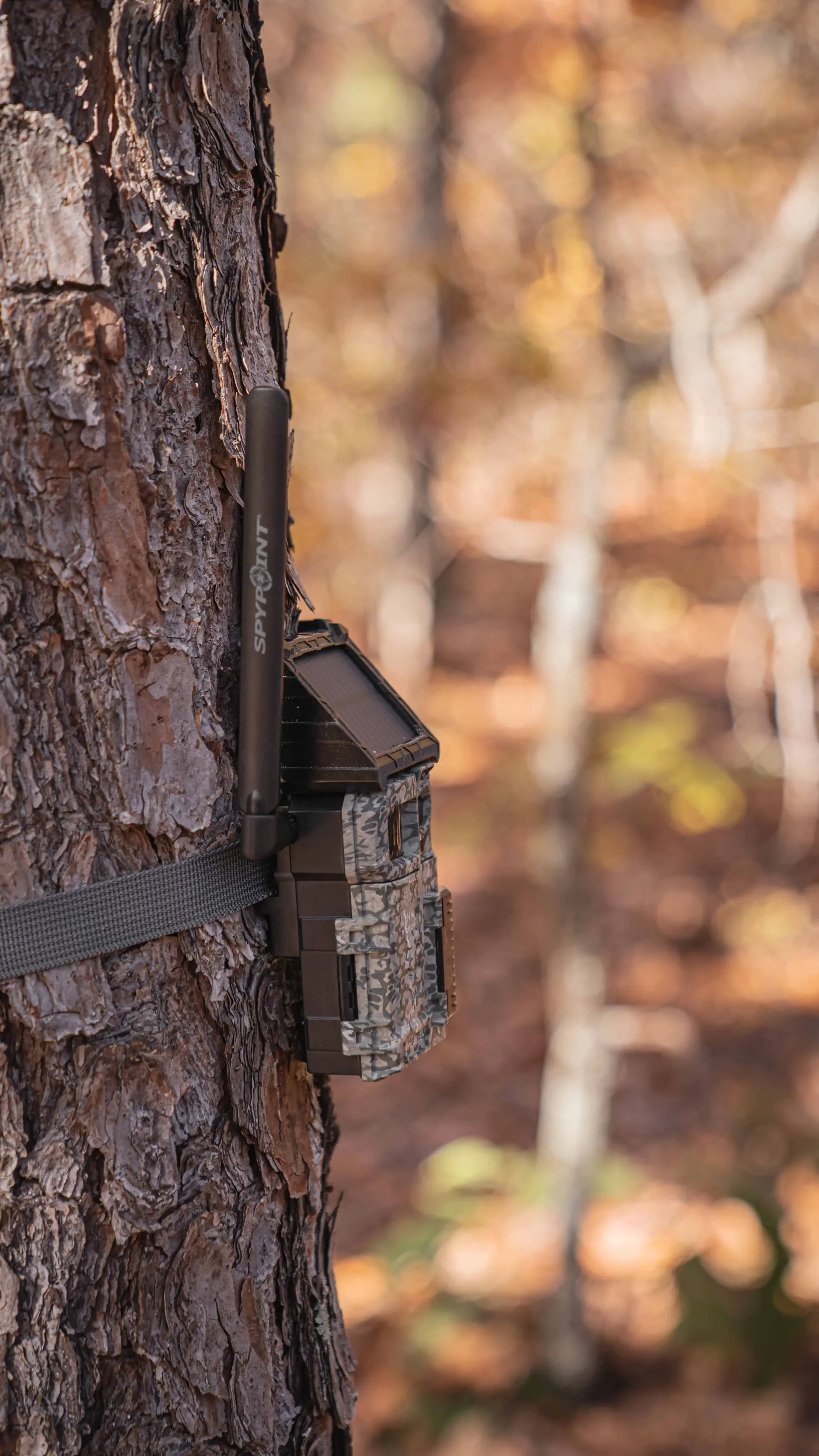 SPYPOINT LINK-MICRO-S SPYPOINT LINK-MICRO-S