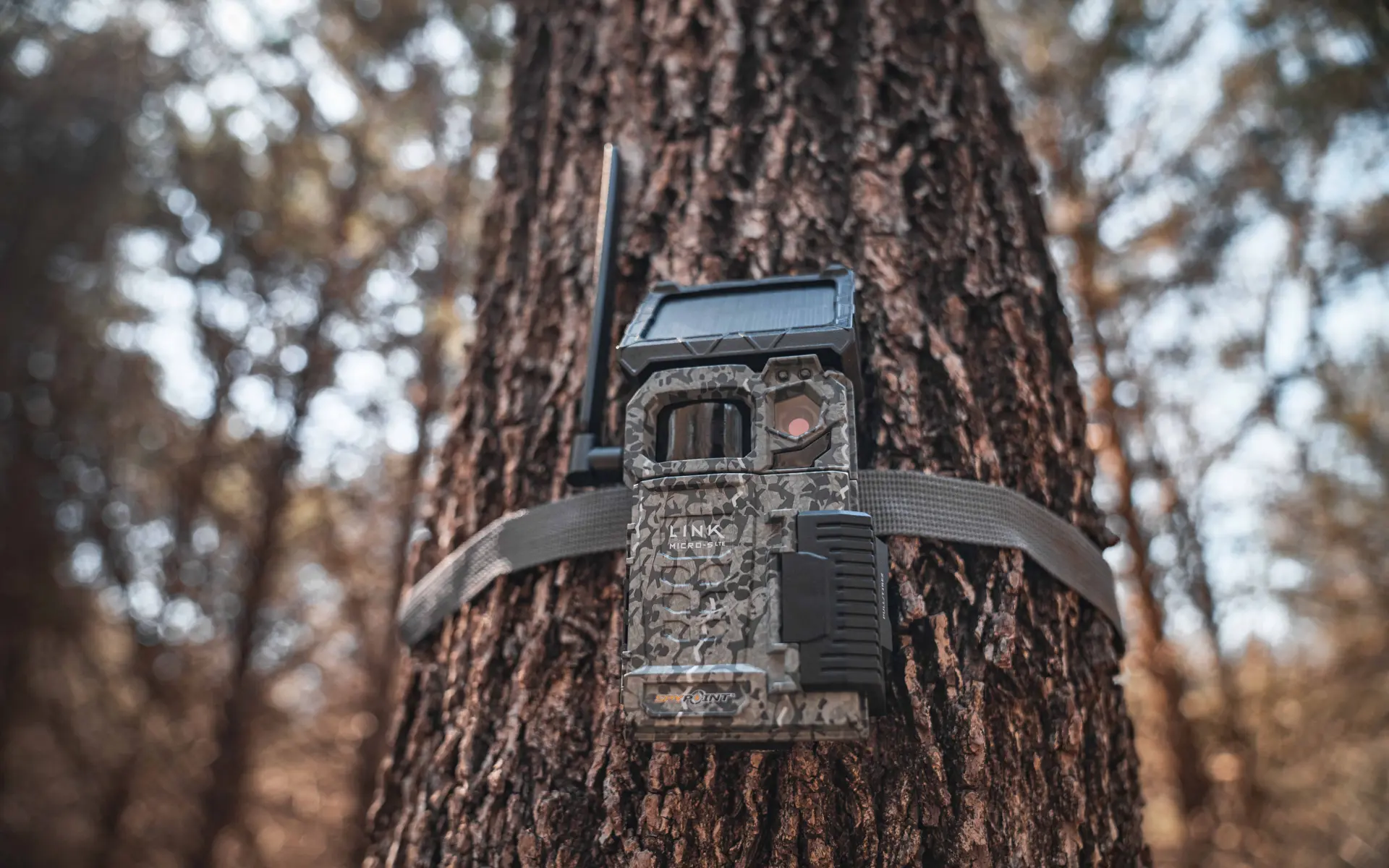 SPYPOINT LINK-MICRO-S SPYPOINT LINK-MICRO-S