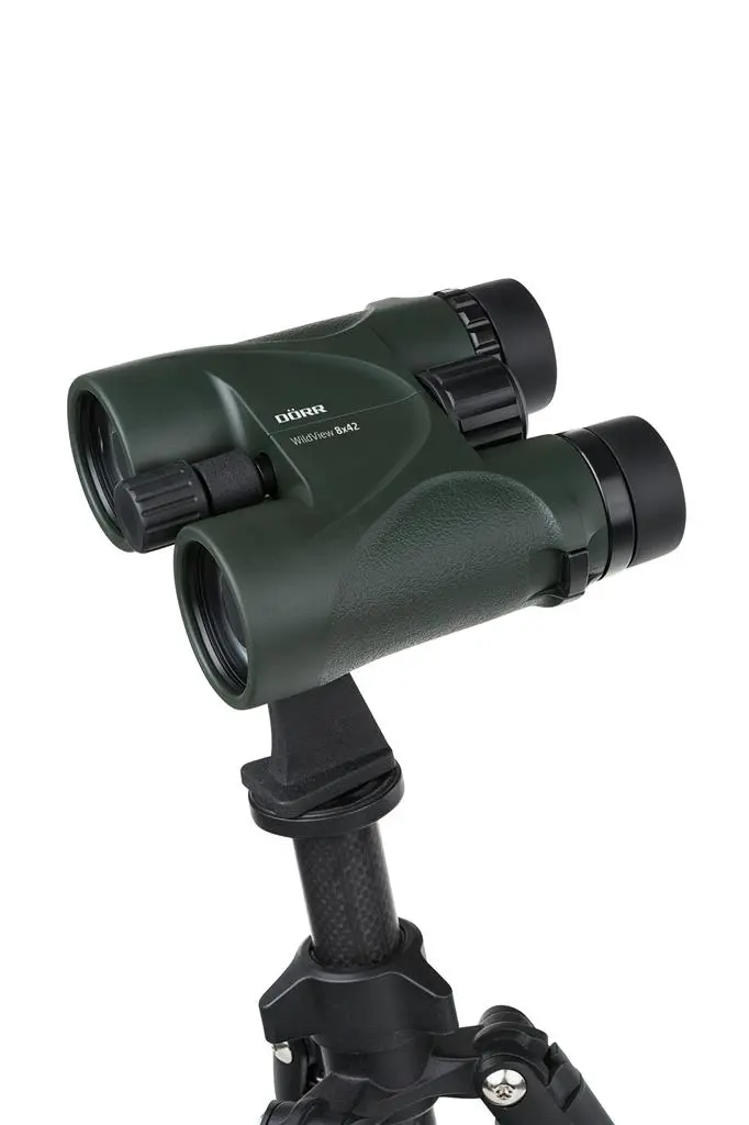 Dörr Dachkantfernglas WildView 8x42 grün