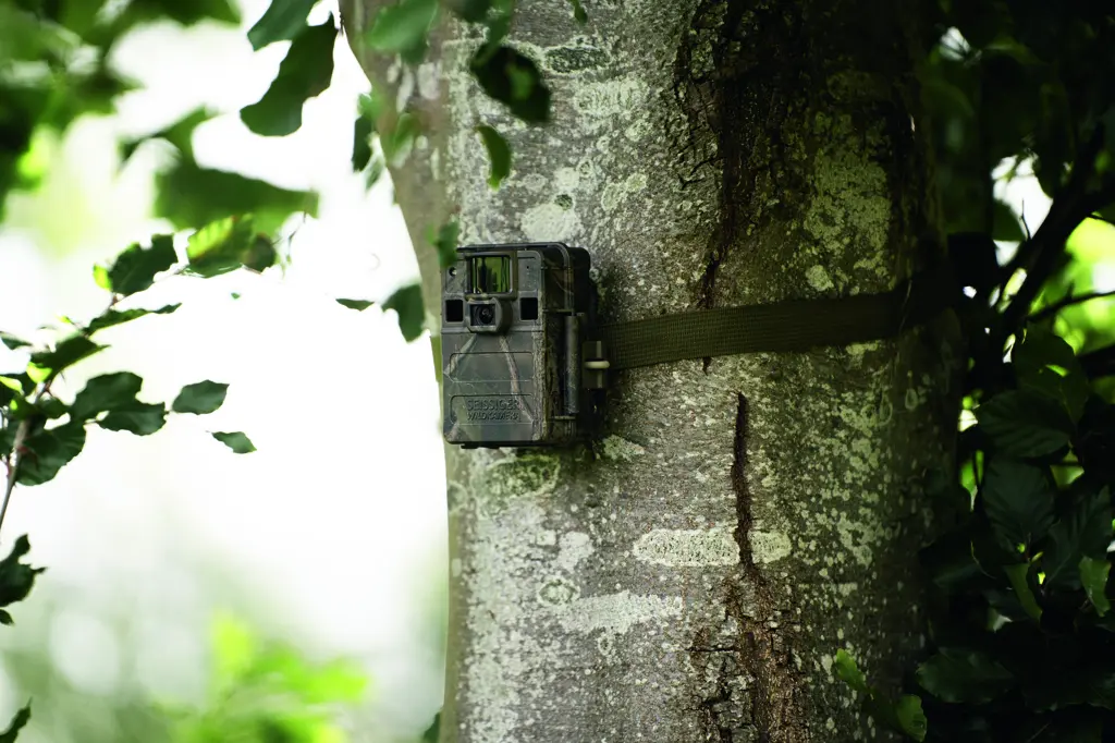SEISSIGER Wildkamera Mini-Cam am Baum montiert für den Outdoor-Einsatz im Revier