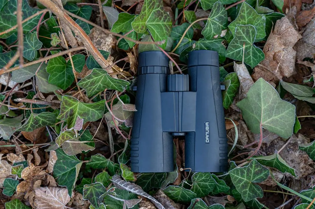 Danubia Dachkantfernglas Bussard I 10x56 schwarz Danubia Dachkantfernglas Bussard I 10x56 schwarz