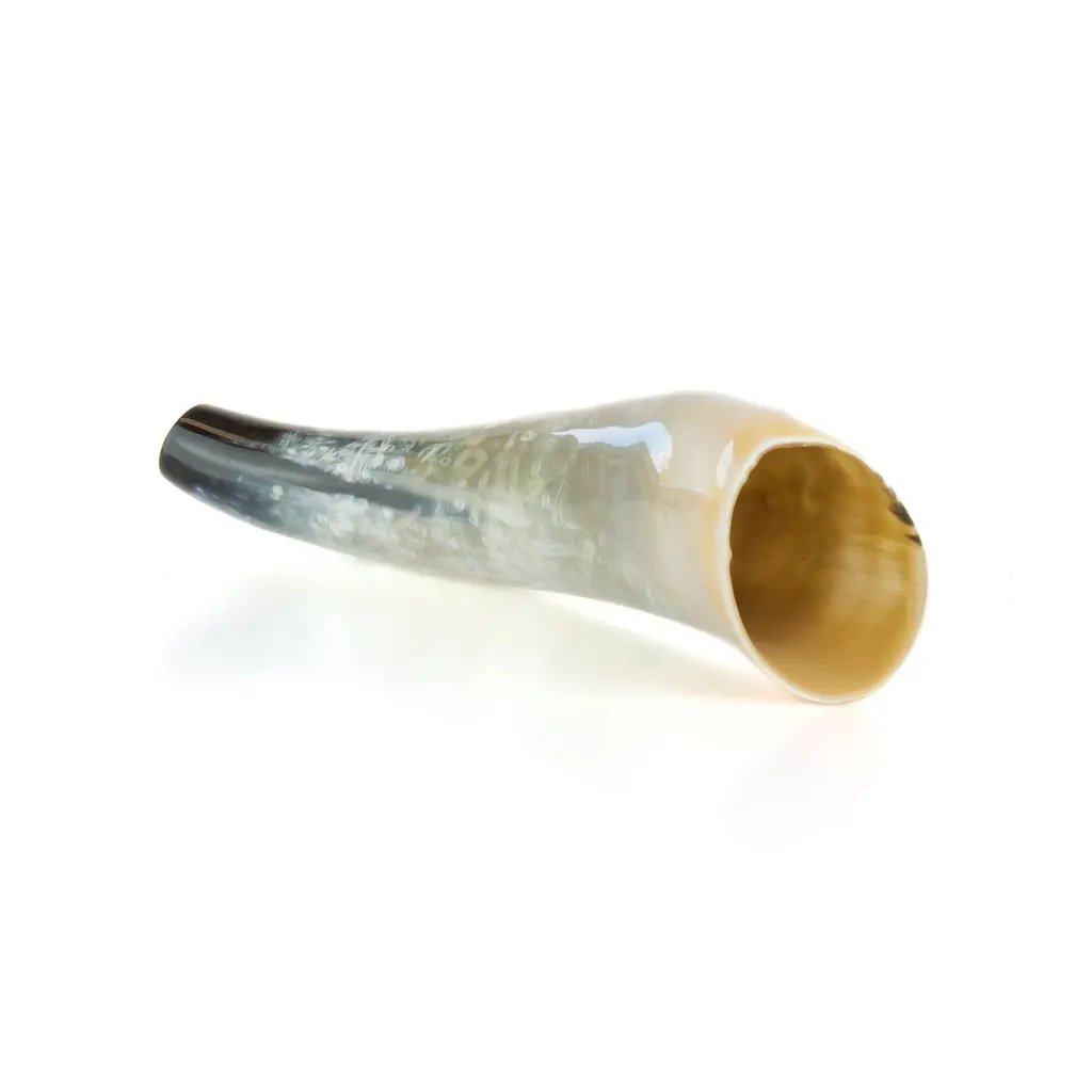 Weisskirchen Ochsenhorn 40cm Hirschruf in Produktansicht mit sichtbarer Hornöffnung