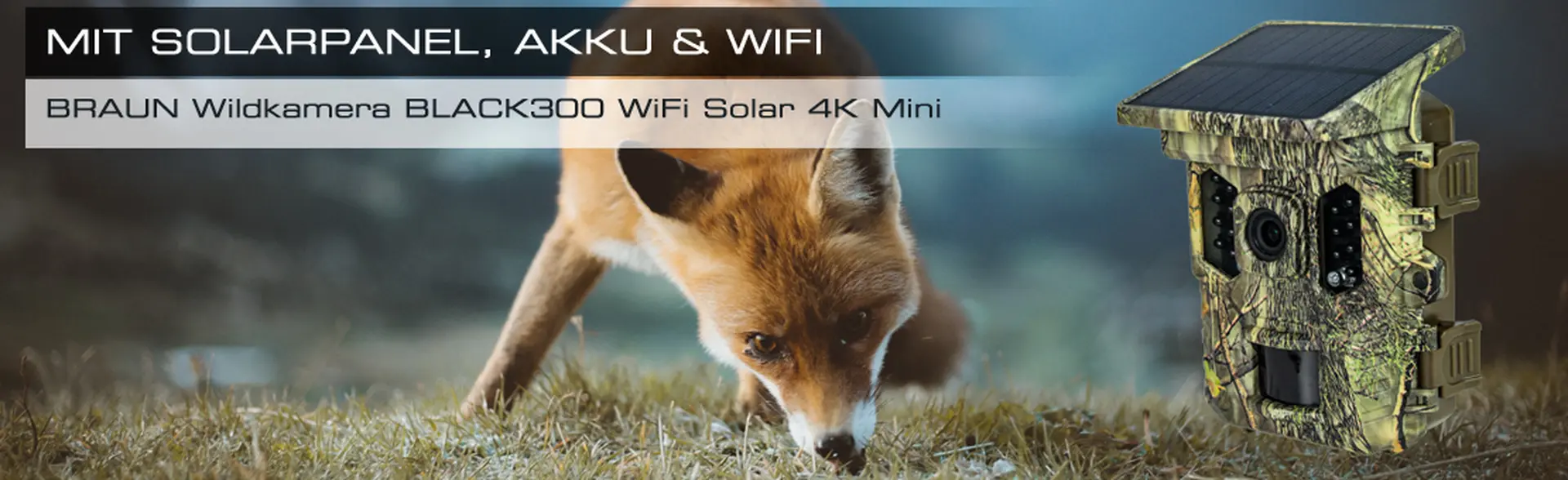 BRAUN Scouting Cam Black300 WiFi Solar 4K Mini | Kompakte WiFi Wildkamera mit Solarpanel