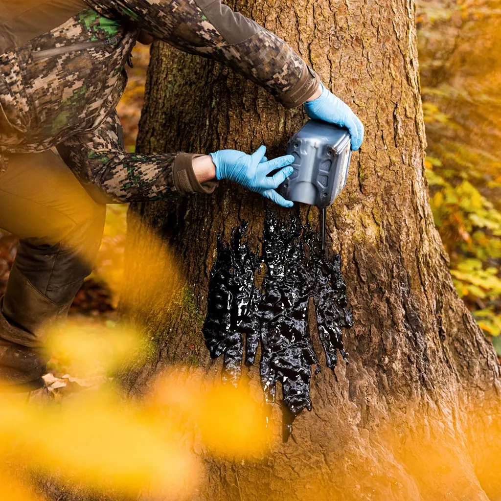 Weisskirchen Wildlockmittel Buchenholzteer 3 kg | Auftragen des Buchenteers am Baum