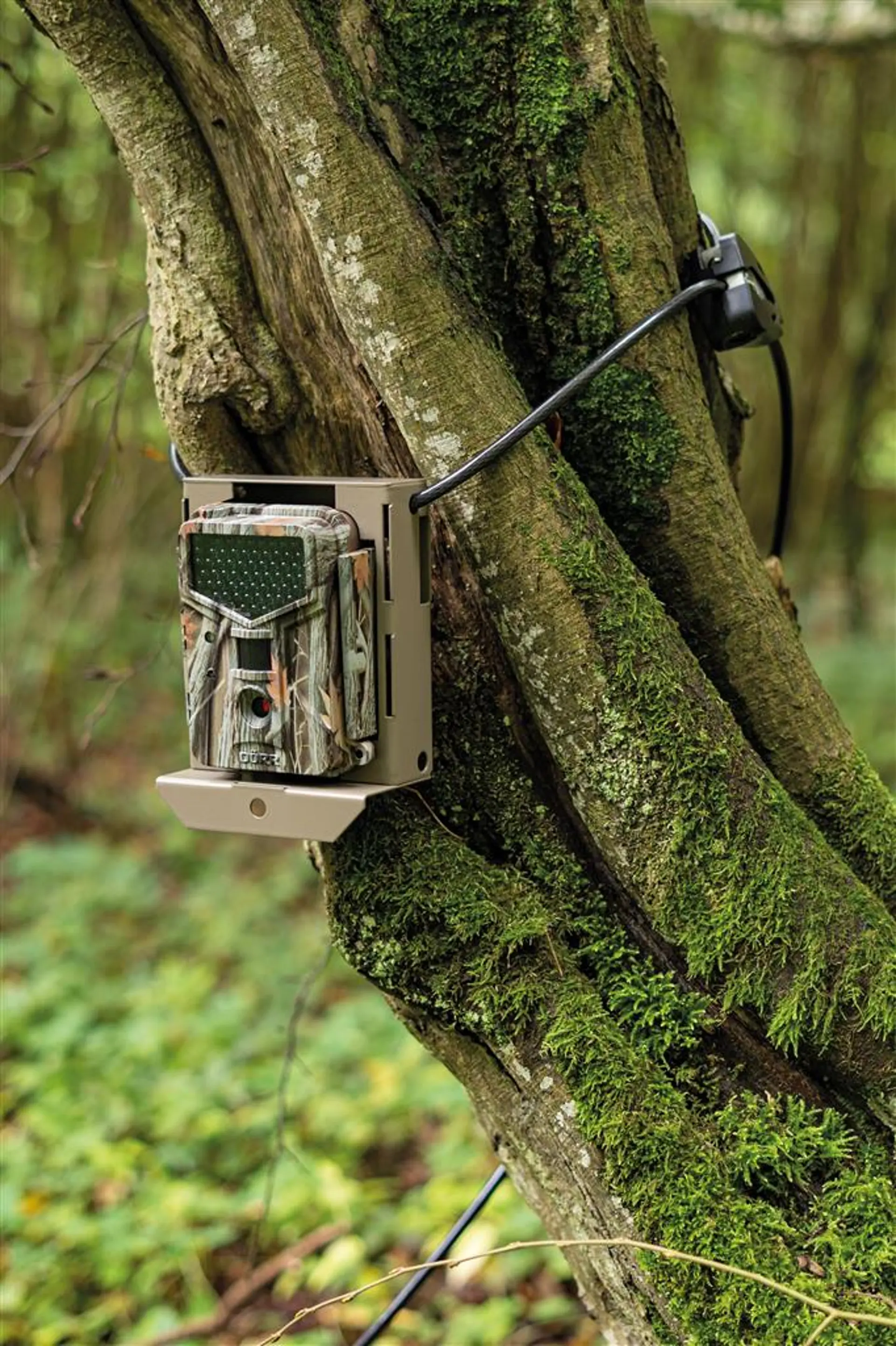 Master Lock Kabelschloss Python Schwarz