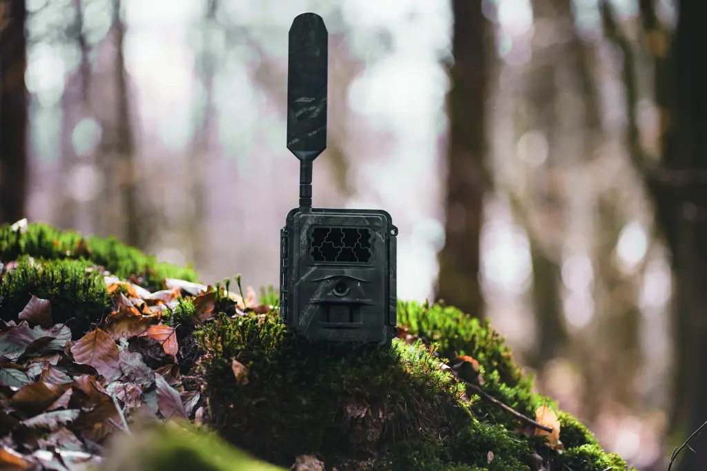 SEISSIGER Wildkamera LTE - SUPERSIM-Edition Li-Ion-Akku-Pack SEISSIGER Wildkamera LTE - SUPERSIM-Edition Li-Ion-Akku-Pack