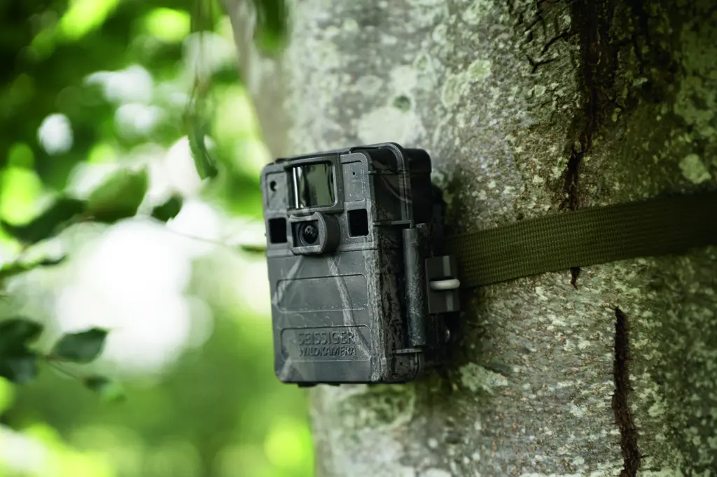 SEISSIGER Wildkamera Mini-Cam Nahaufnahme am Baum, robuste Camouflage-Ausführung