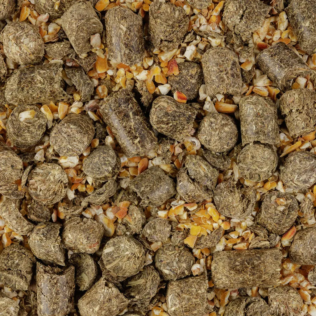 EUROHUNT Wildlockmittel PREMIUM Spezial Rehwild, Detailaufnahme der Pellets und Maisbestandteile