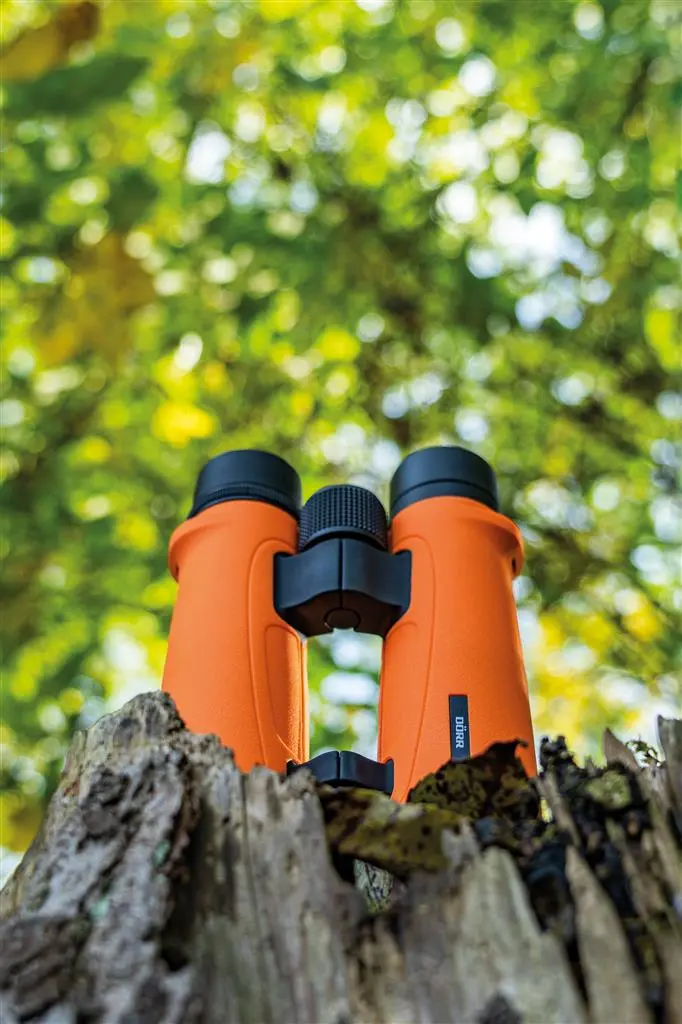 Dörr Dachkantfernglas SIGNAL XP 10x42 orange