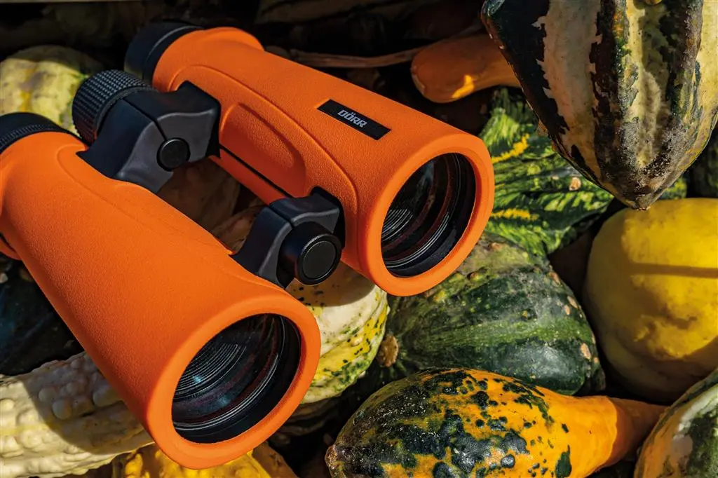 Dörr Dachkantfernglas SIGNAL XP 8x42 orange