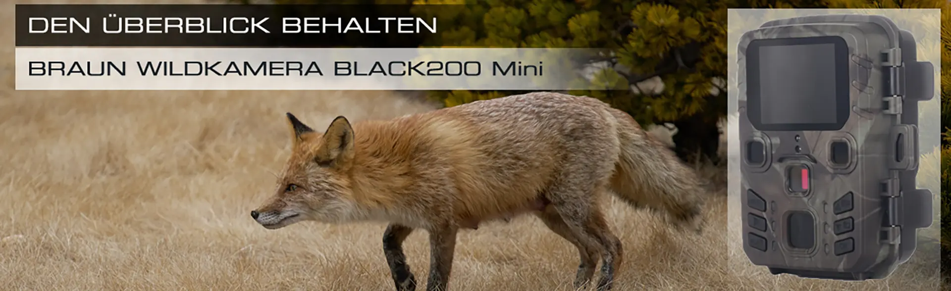 BRAUN Scouting Cam Black200 Mini | Kompakte Wildkamera f&uuml;r Tag und Nacht